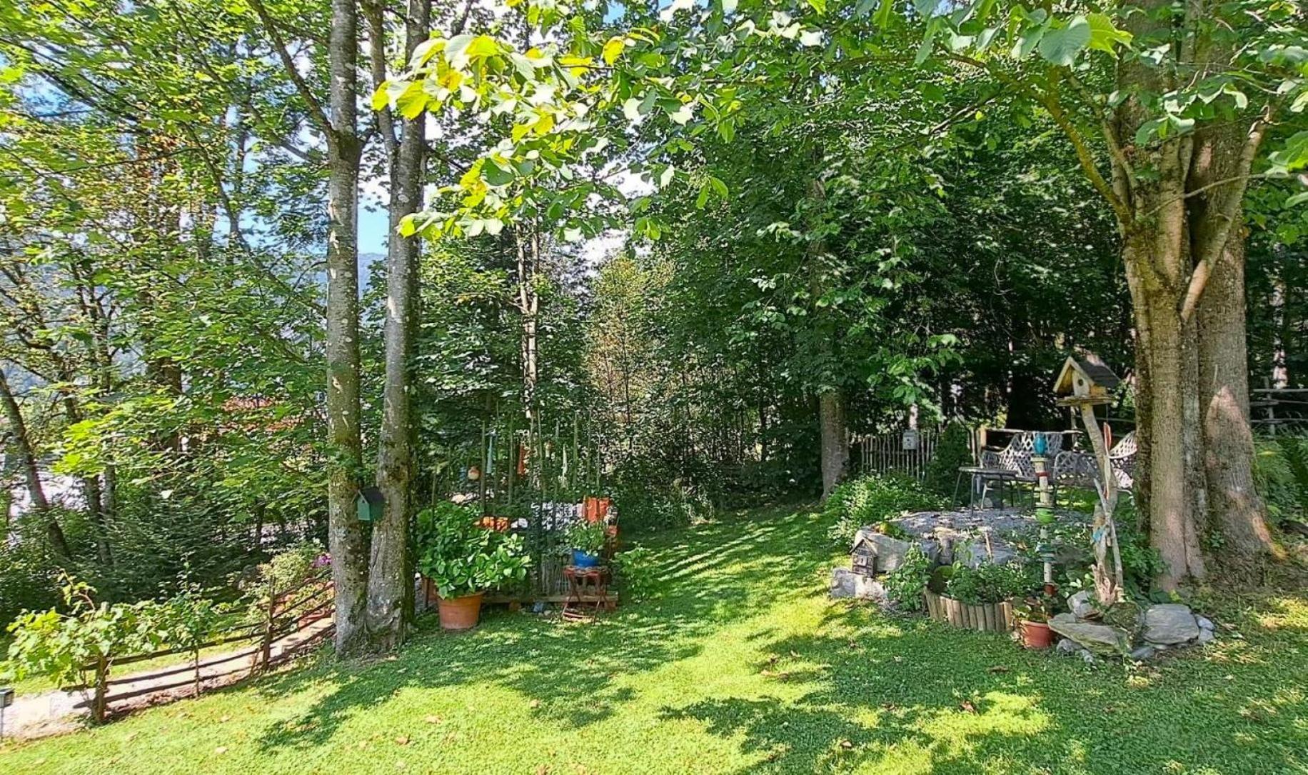 Ferienhaus Lechner Fuer Max 10 Personen - Wald Und Naturgarten Abtenau Exteriér fotografie